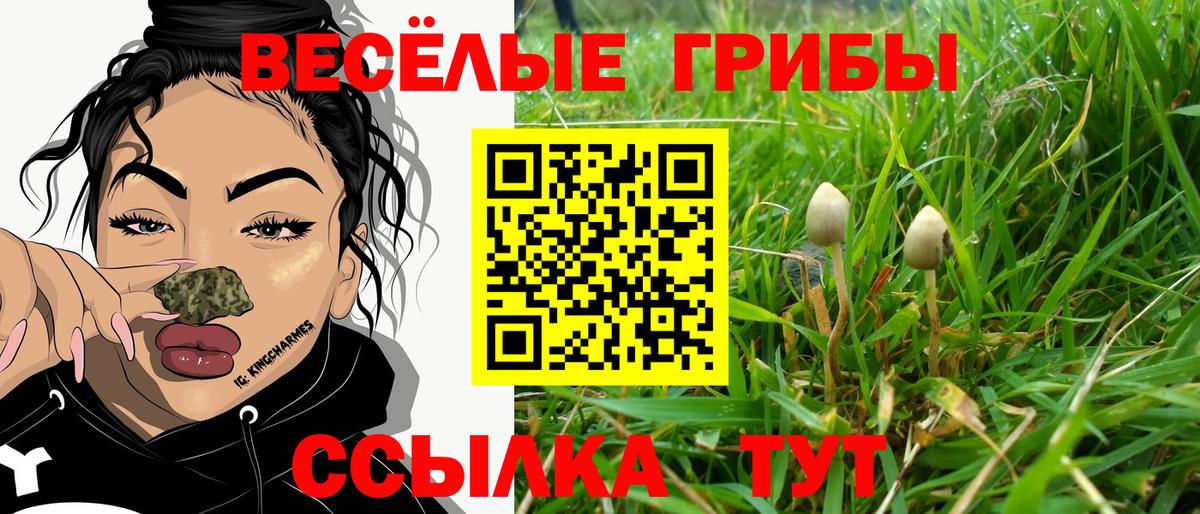 Псилоцибиновые грибы мицелий  Псилоцибиновые грибы мухоморы  Вход с VPN  наркота  Саров 