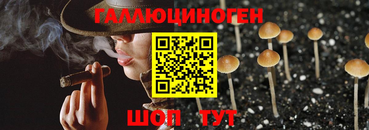 Галлюциногенные грибы ЛСД Саров